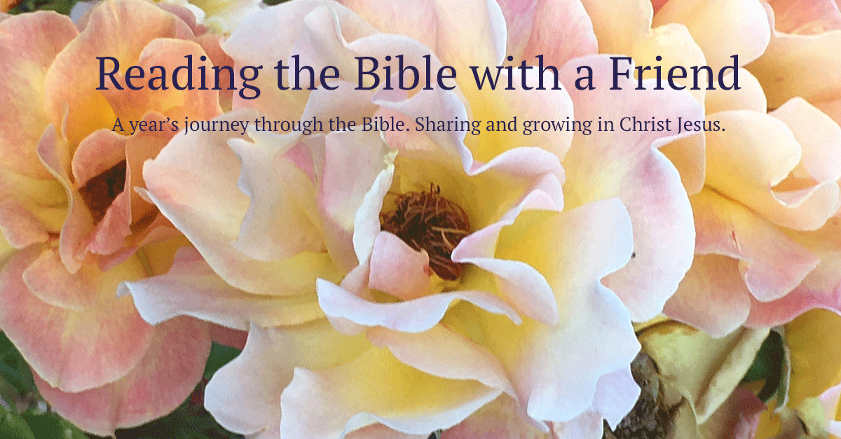 June 16 Day 167 - Reading the Bible with a Friend