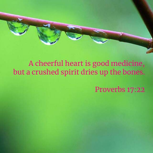 Proverbs 17:22