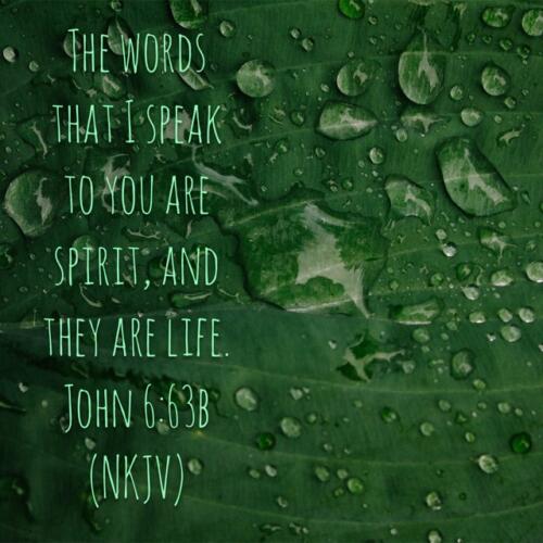 John 6:63b