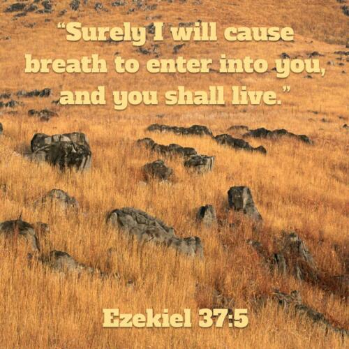 Ezekiel 37:5