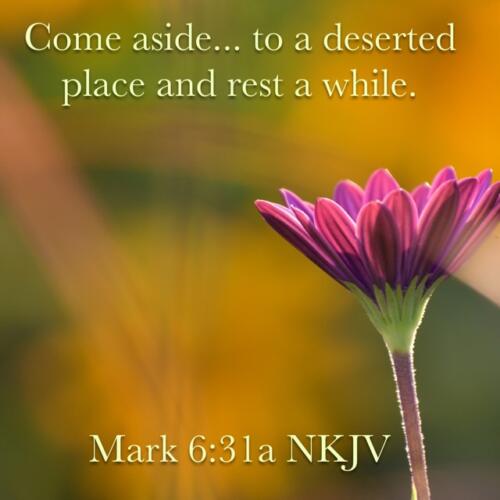 Mark 6:31a