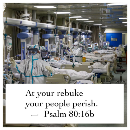 Psalm 80:16b