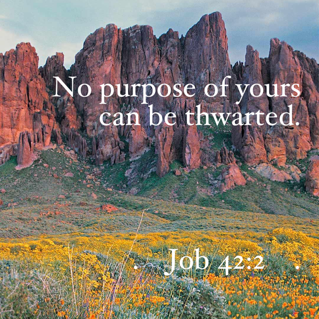 Job 42:2