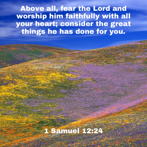 1 Samuel 12:24